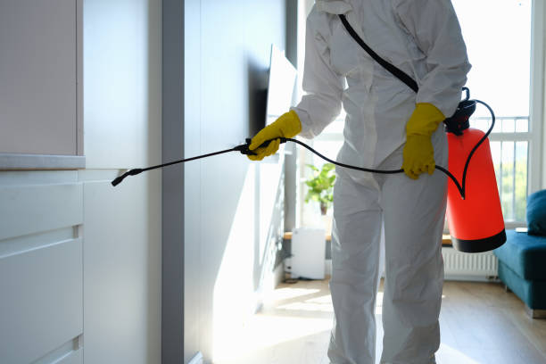 Best Commercial Mold Remediation in Bedford, IA